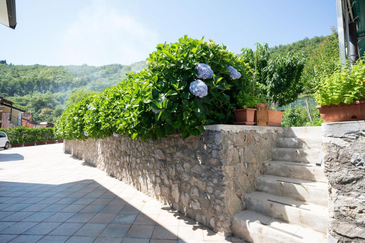 Apicella Casa Vacanze Tramonti Exterior foto