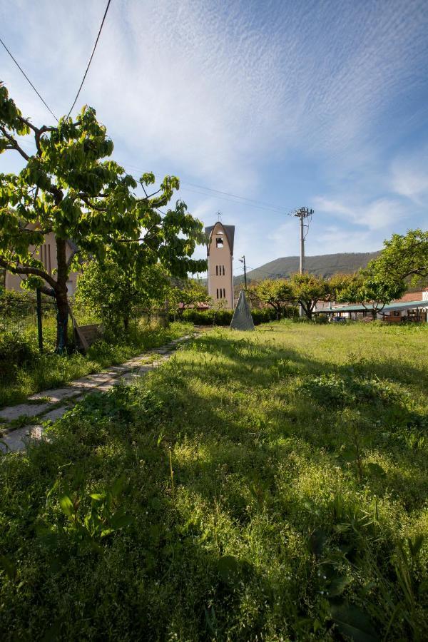 Apicella Casa Vacanze Tramonti Exterior foto