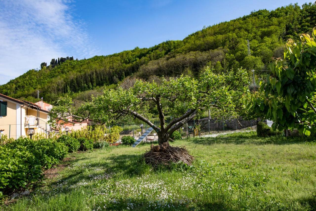 Apicella Casa Vacanze Tramonti Exterior foto